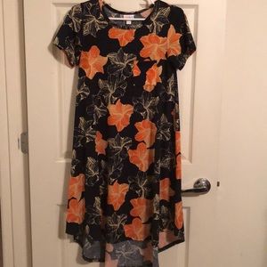 Lularoe Carly Dress 3/$15